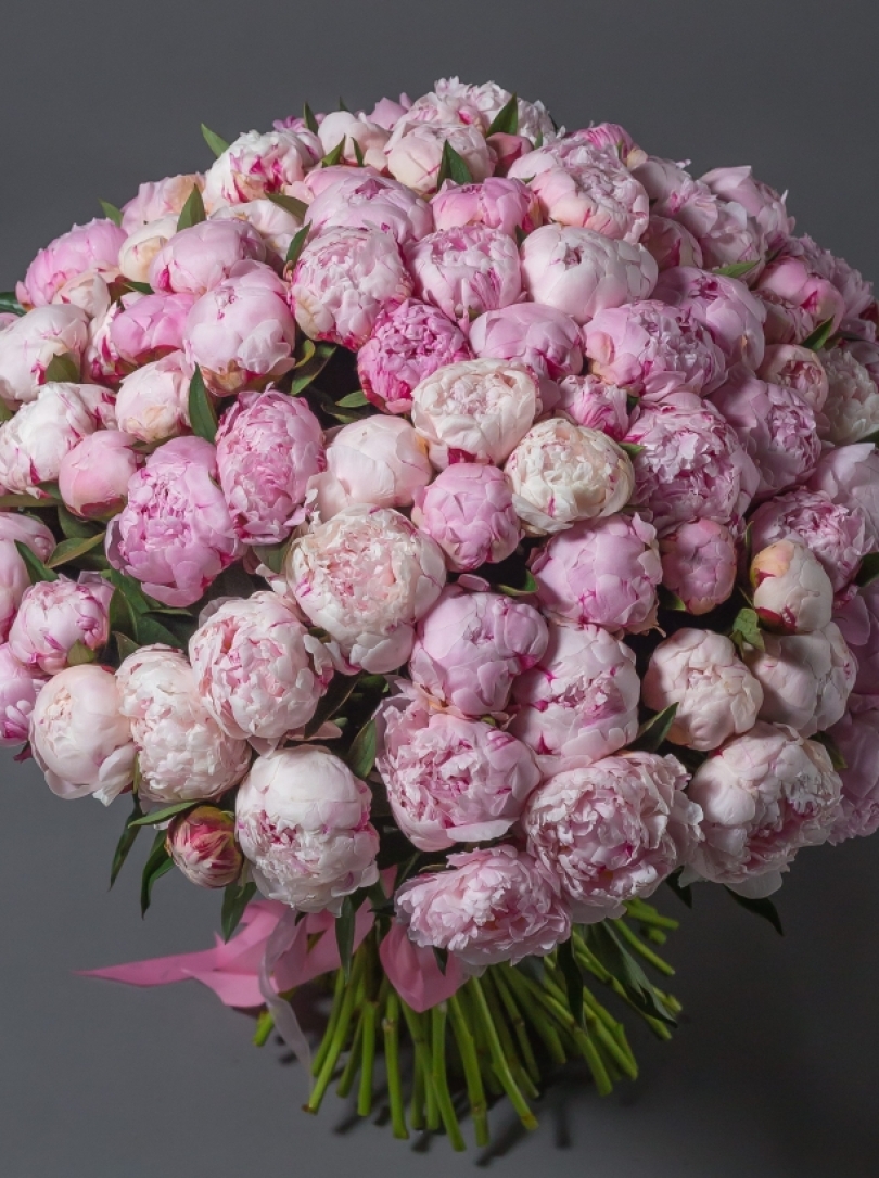 Buchet din 101 bujori olandezi