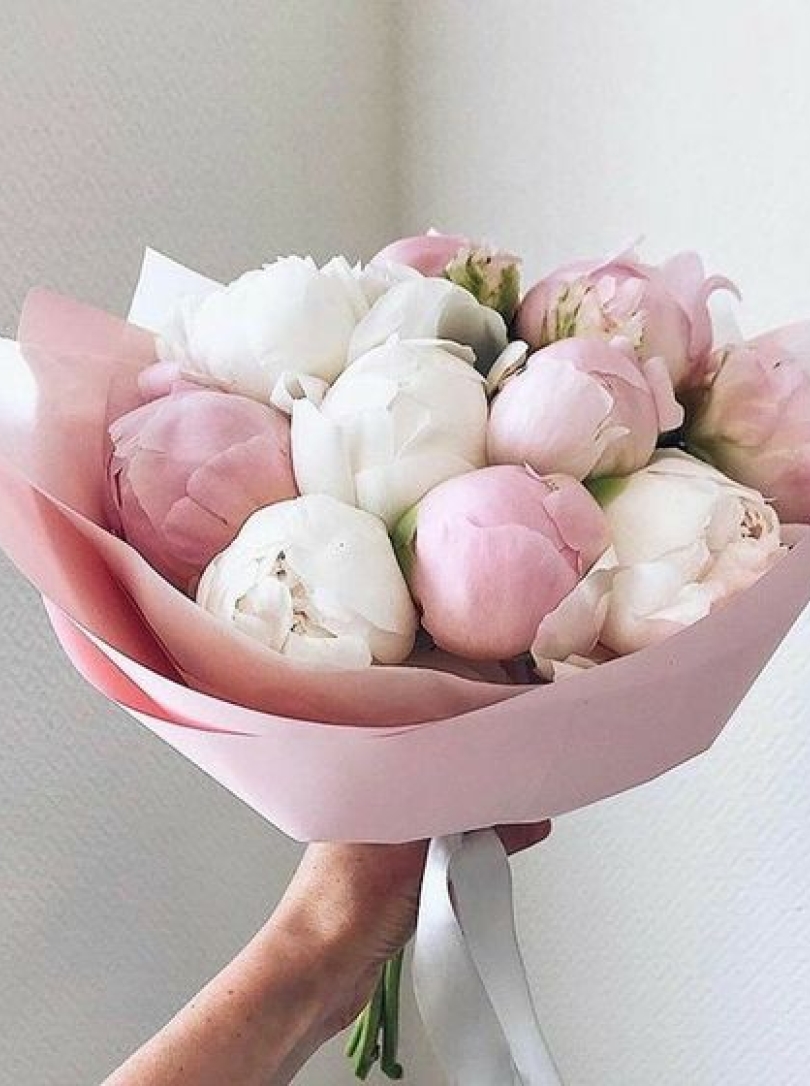 Buchet 15 bujori olandezi