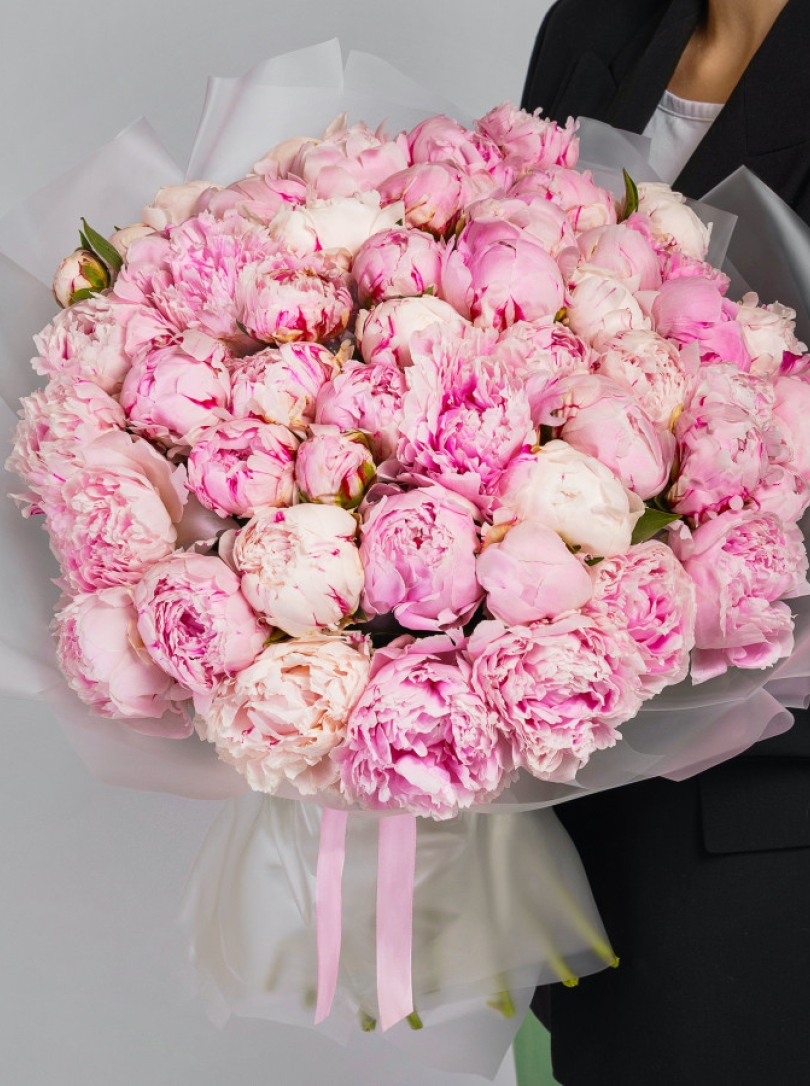 Buchet de 51 Bujori roz olandezi 