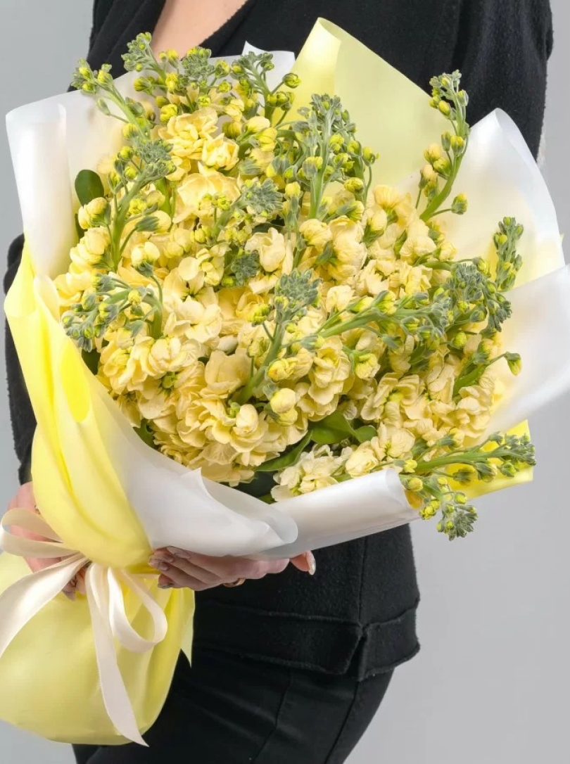 15 Matthiole Galbene